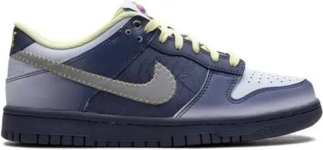 Nike Kids Dunk Low 