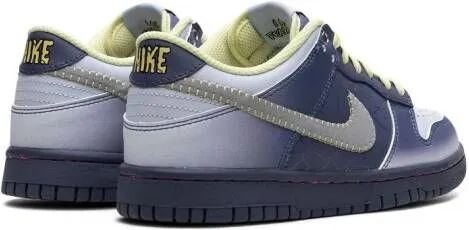 Nike Kids Dunk Low 