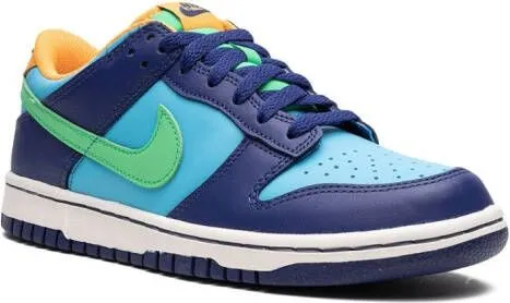 Nike Kids Dunk Low 