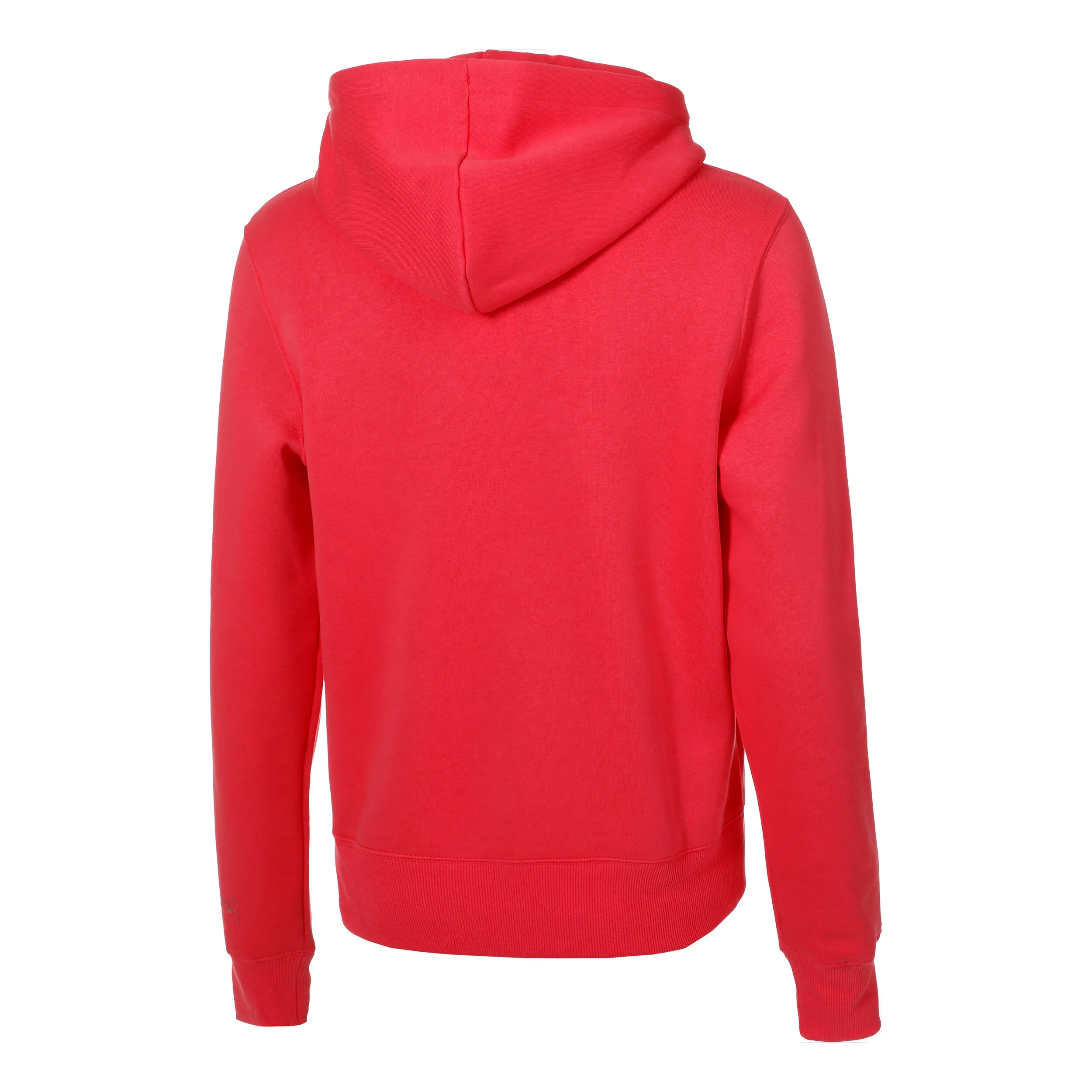 Nike PHNX Fleece STD PO Hoody Women