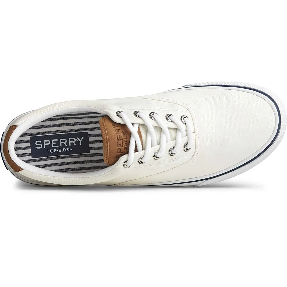 SPERRY STRIPER II CVO SNEAKER MENS